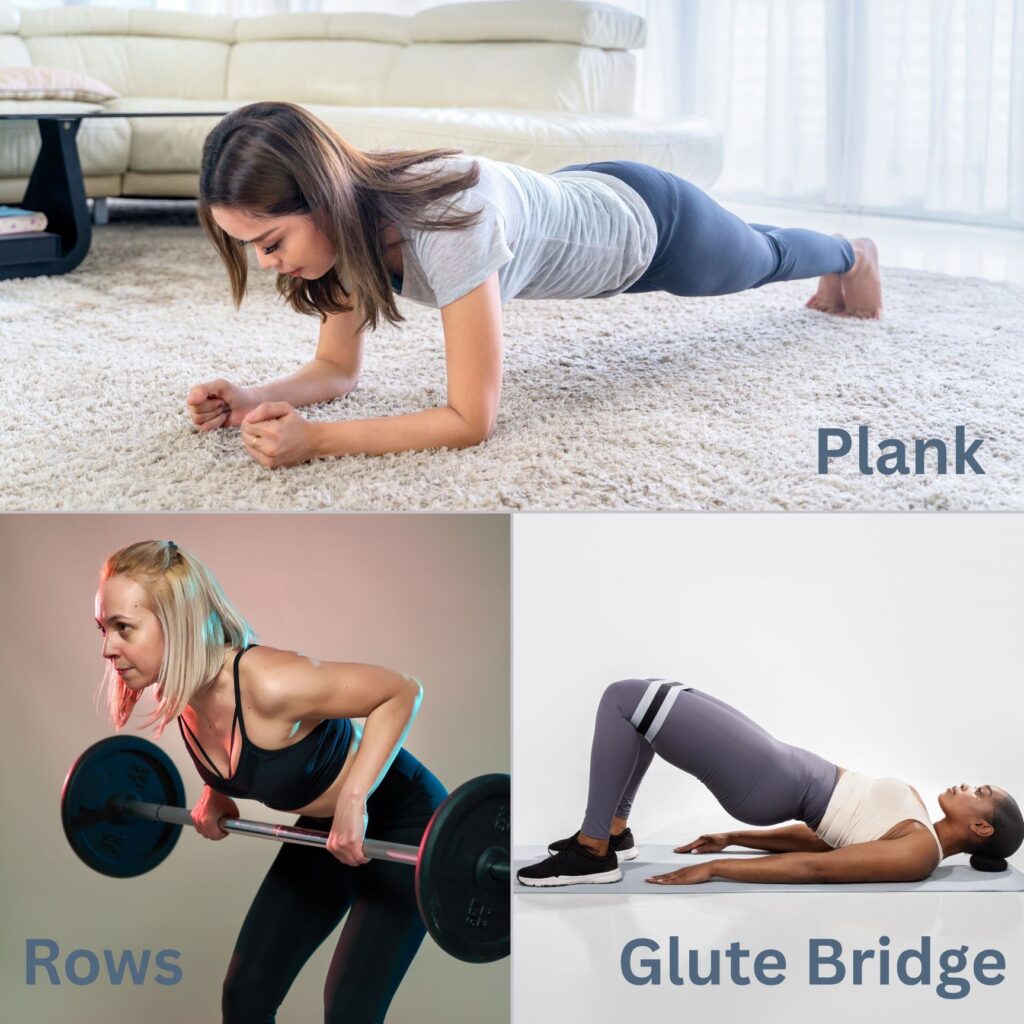 rows, bridges, planks